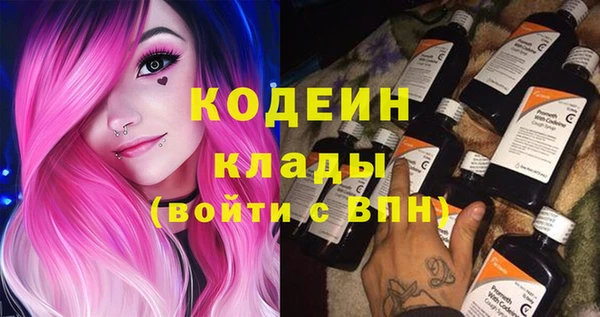 твердый Новозыбков