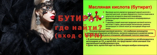 твердый Новозыбков