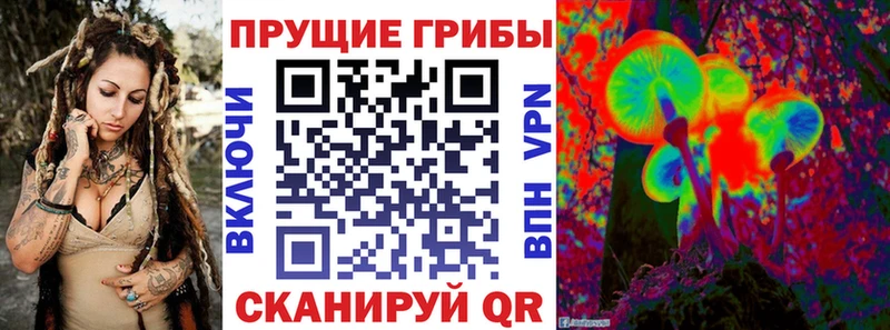 KRAKEN зеркало закладки Малаховка Псилоцибиновые грибы ЛСД